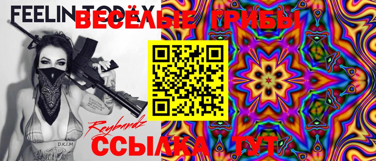 Нарьян-Мар  Галлюциногенные грибы Psilocybe  Вход с VPN 